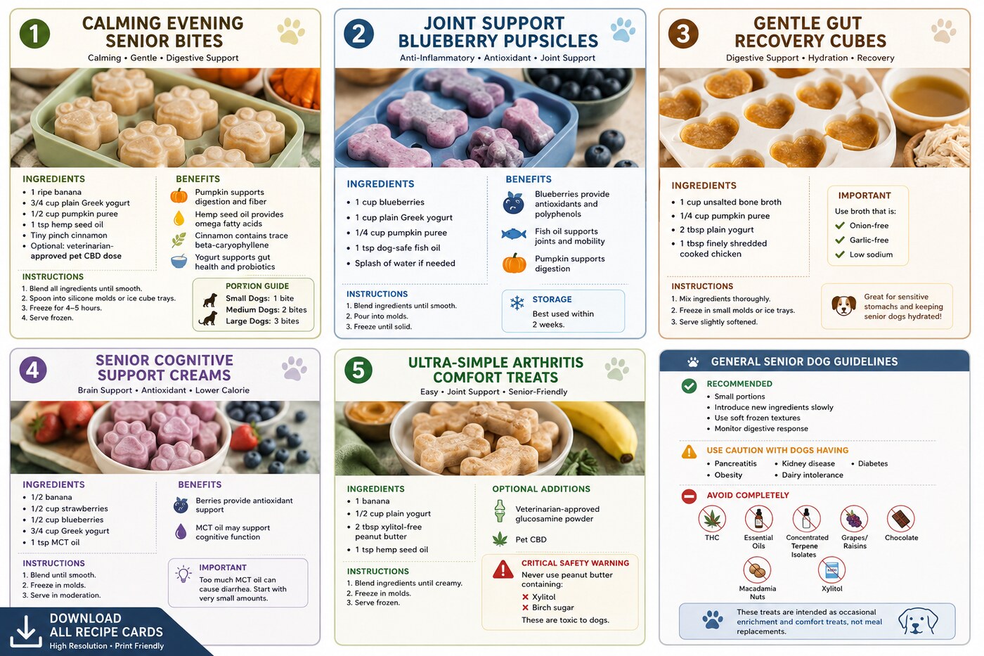 Six recipe cards for senior dog frozen treats: Calming Evening Senior Bites, Joint Support Blueberry Pupsicles, Gentle Gut Recovery Cubes, Senior Cognitive Support Creams, Ultra-Simple Arthritis Comfort Treats, and a General Senior Dog Guidelines card listing what to avoid.